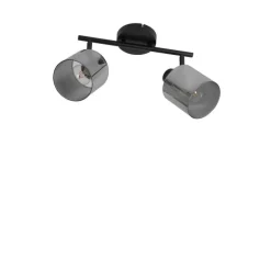 Plafondspot zwart met smoke glas 2-lichts verstelbaar - Laura