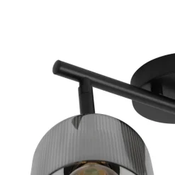 Plafondspot zwart met smoke glas 2-lichts verstelbaar - Laura