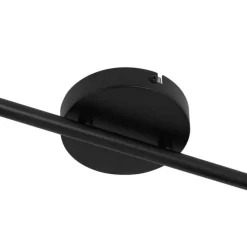 Plafondspot zwart met smoke glas 2-lichts verstelbaar - Laura