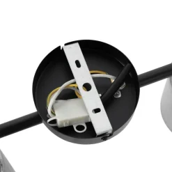 Plafondspot zwart met smoke glas 2-lichts verstelbaar - Laura