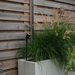 Prikspot zwart verstelbaar IP44 incl. snoer en stekker - Basic