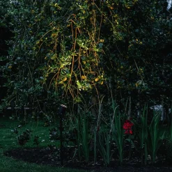 Prikspot zwart verstelbaar IP44 incl. snoer en stekker - Basic