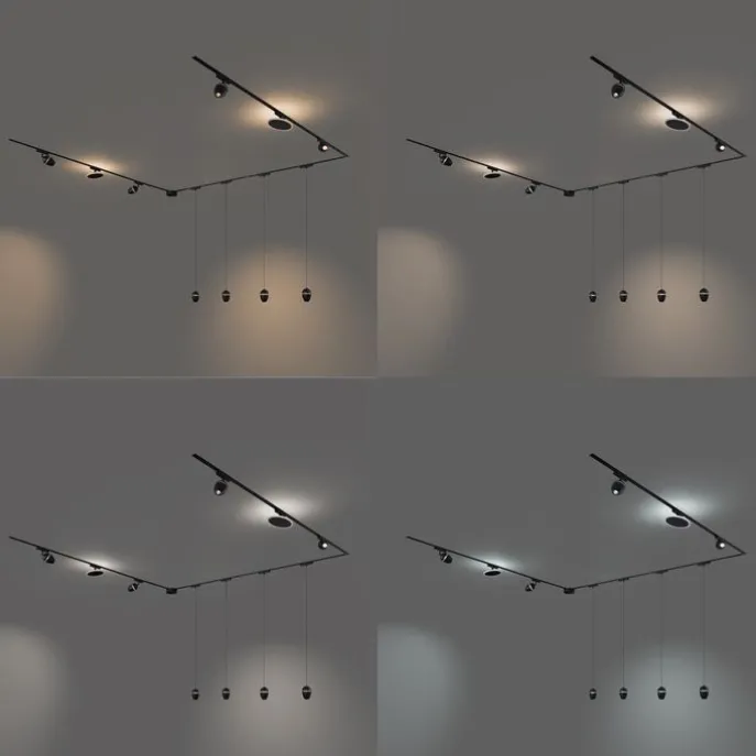 Railsysteem met 10 lampen zwart 1-fase - Magnetic Eggy Puk