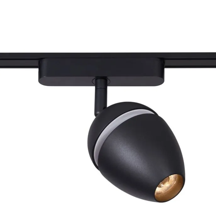 Railsysteem met 10 lampen zwart 1-fase - Magnetic Eggy Puk