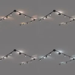 Railsysteem met 8 spots en 4 plafondlampen zwart 1-fase - Magnetic Lance Puk