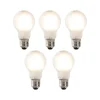 Set van 5 dimbare E27 LED lampen mat glas 4W 320 lm 2700K