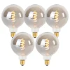 Set van 5 E27 dimbare LED gedraaid filament lamp G125 smoke 4W 120 lm 1800K