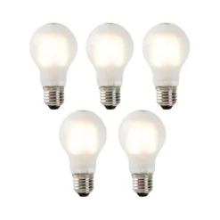 Set van 5 E27 LED filament lampen mat glas A60 2W 180 lm 2700K