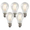 Set van 5 E27 LED lampen helder 3W 250 lm 2200K