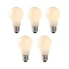 Set van 5 E27 LED lampen opaal glas 1W 80 lm 2200K