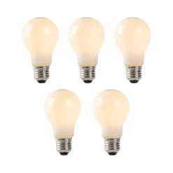 Set van 5 E27 LED lampen opaal glas 1W 80 lm 2200K