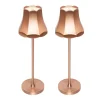 Set van 2 retro tafellampen koper oplaadbaar IP44 - Granny