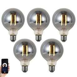 Set van 5 Smart E27 dimbare LED lampen G95 smoke 4.9W 150 lm 1800K
