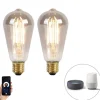 Set van 2 smart E27 LED lampen ST64 smoke 7W 400 lm 1800K
