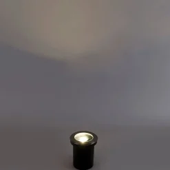 Smart buiten grondspot RVS incl. WiFi GU10 IP65 - Delux