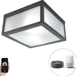Smart buiten plafondlamp zwart met ribbel glas incl. Wifi A60 - Charlois