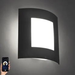 Smart buiten wandlamp antraciet incl. WiFi A60 - Emmerald