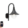 Smart buiten wandlamp zwart IP44 incl. Wifi A60 - Daphne