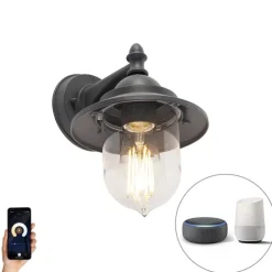 Smart buitenwandlamp donker grijs incl. Wifi ST64 - Oxford