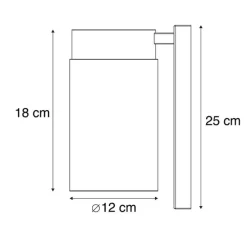 Smart buitenwandlamp zwart IP44 incl. Wifi ST64 - Jarra