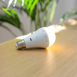 Smart E27 dimbare LED lamp A60 mat 3.5W 350 lm 3000-6500K oplaadbaar met afstandsbediening