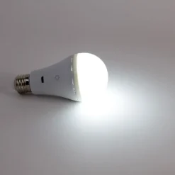 Smart E27 dimbare LED lamp A60 mat 3.5W 350 lm 3000-6500K oplaadbaar met afstandsbediening