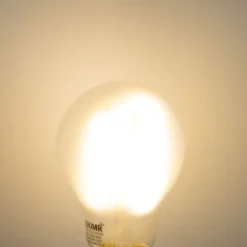 Smart E27 dimbare LED lamp A60 mat 7W 806 lm 2700-6500K