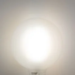 Smart E27 dimbare LED lamp G125 mat 7W 806 lm 2700-6500K