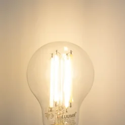 Smart E27 dimbare LED lamp A60 helder 7W 806 lm 2700-6500K