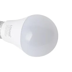 Smart E27 LED lamp A60 mat RGBW 9W 806 lm 2700-6500K