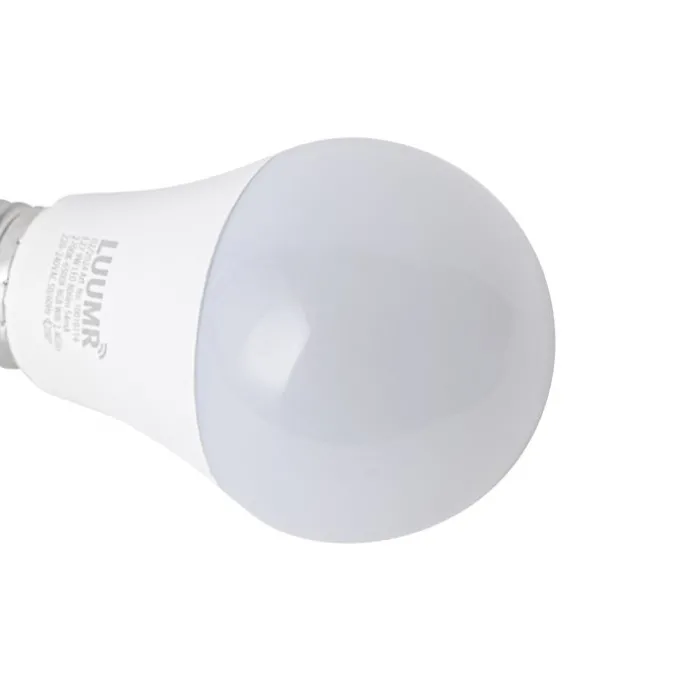 Smart E27 LED lamp A60 mat RGBW 9W 806 lm 2700-6500K