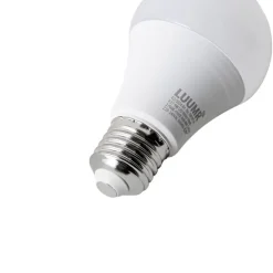 Smart E27 LED lamp A60 mat RGBW 9W 806 lm 2700-6500K
