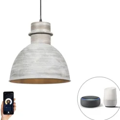 Smart hanglamp grijs 30 cm incl. wifi A60 lichtbron - Dory