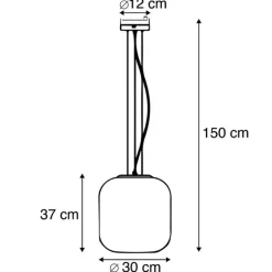 Smart hanglamp zwart met smoke glas incl. WiFi A60 - Bliss