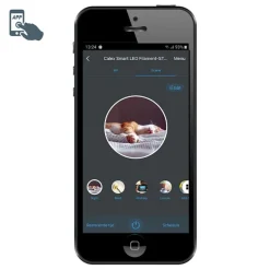 Smart hanglamp zwart met smoke glas 30 cm incl. Wifi ST64 - Pallon