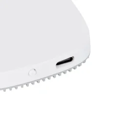 Smart Hub voor Zigbee Hue lichtbronnen met spraakbesturing