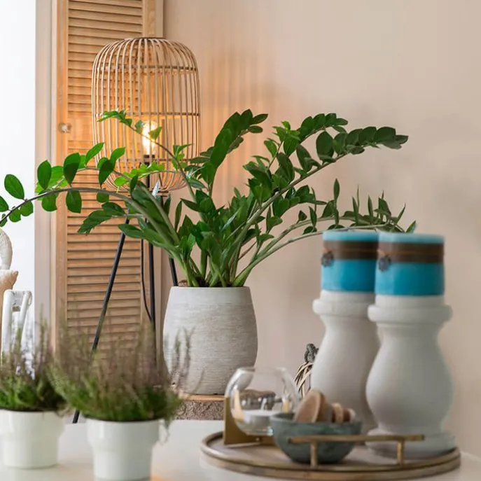 Smart landelijke vloerlamp rotan incl. WiFi A60 - Manila