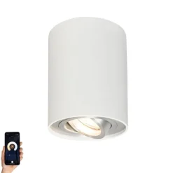 Smart opbouwspot wit en staal kantelbaar incl. Wifi GU10 - Rondoo up