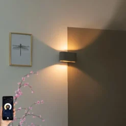 Smart ovale wandlamp beton incl. Wifi G9 - Arles