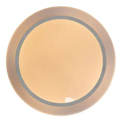 Smart plafondlamp wit 48 cm incl. LED en dimmer RGB - Jochem