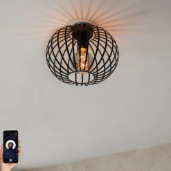 Smart plafondlamp zwart 30 cm incl. Wifi G95 - Johanna