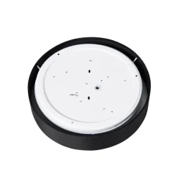 Smart plafondlamp zwart 30cm incl. LED RGB met afstandsbediening - Taiko