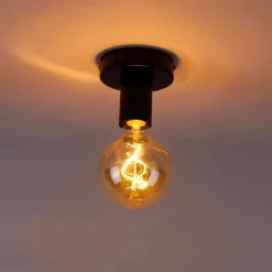 Smart plafondlamp zwart incl. Wifi G95 - Facile