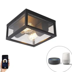 Smart plafondlamp zwart IP442-lichts incl. Wifi ST64 - Charlois