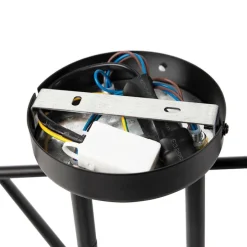 Smart plafondlamp zwart 6-lichts incl. Wifi G95- Sydney