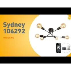 Smart plafondlamp zwart 6-lichts incl. Wifi G95- Sydney