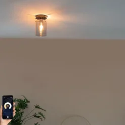 Smart plafondlamp zwart met smoke glas incl Wifi ST64 - Dome