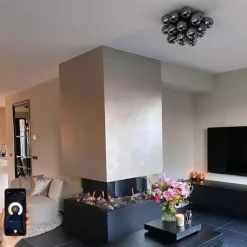 Smart plafondlamp zwart met smoke glas incl. 6 Wifi G9 - Uvas