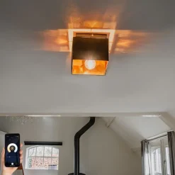 Smart plafondlamp zwart met goud incl. Wifi P45 - VT