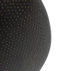 Smart plafondlamp zwart met goud 40 cm incl. Wifi G95 - Radiance